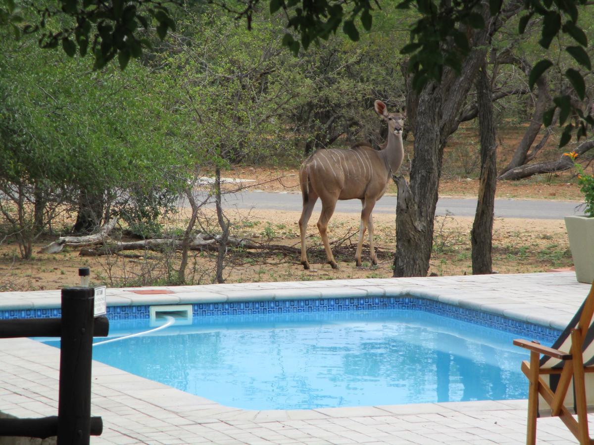 Woodpecker Lodge B&B Hoedspruit Εξωτερικό φωτογραφία