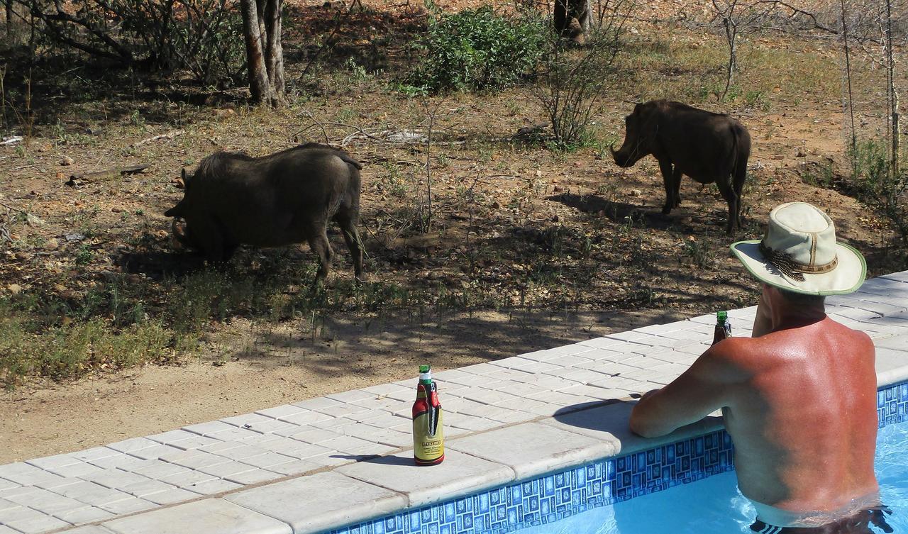 Woodpecker Lodge B&B Hoedspruit Εξωτερικό φωτογραφία